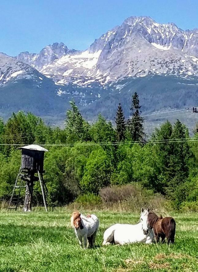 Penzion Monty Ranch Vysoke Tatry Stola Hotel Bagian luar foto